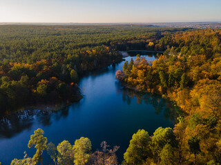 Naklejka na ściany i meble Aerial view of the autumn forest near the river in the afternoon