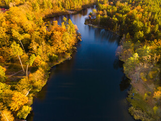 Aerial view of the autumn forest near the river in the afternoon