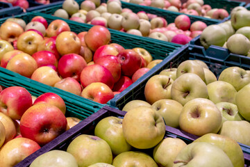 Lots of green and red apples in boxes at the market.