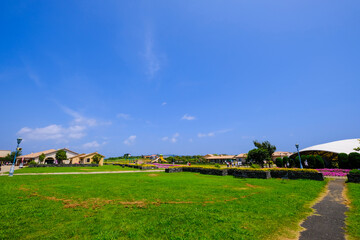 Obraz premium 神奈川県横須賀市のソレイユの丘