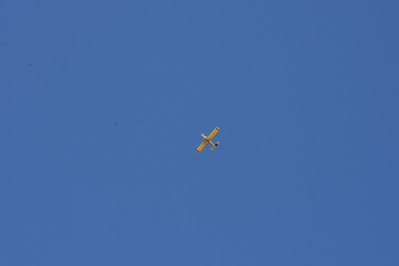 kite flying in the sky