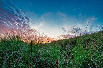 Fototapeta premium Beautiful blue and orange colors of the sun setting behind a dune, during sunset. Grass in foreground