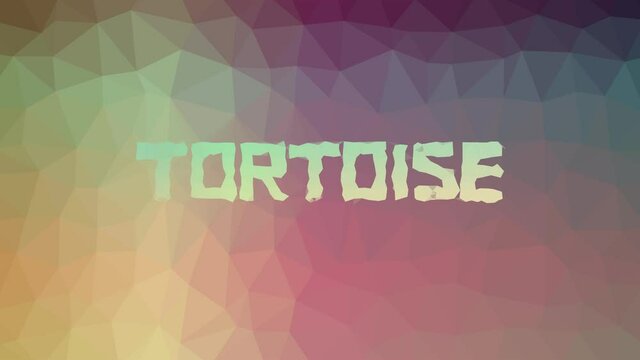 Tortoise fade techno tessellating looping pulsing polygons