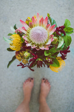 Bunch Of Native Australian Flower With Proteas And Kangaroo Paws  On The Floor And Woman's Legs Walking Towards It