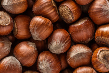 Macro photo Hazelnut nuts. Photo nature food Hazelnut nuts in shell.Turkish hazelnuts. organic natural food. nuts vertical framing. food photos