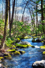 humaston brook state park northfield connecticut