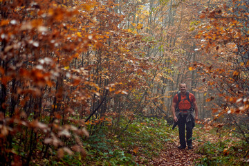 Hiking into the foggy forest