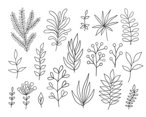 Leaves set simple vector minimalist concept outline illustration, thin line hand drawn floral branch, element for invitations, greeting cards, booklet design