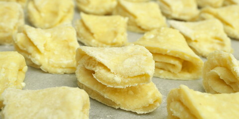 Handmade cottage cheese cookies. Home product. Selective sharpness.