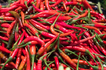 Red fresh chili at a market