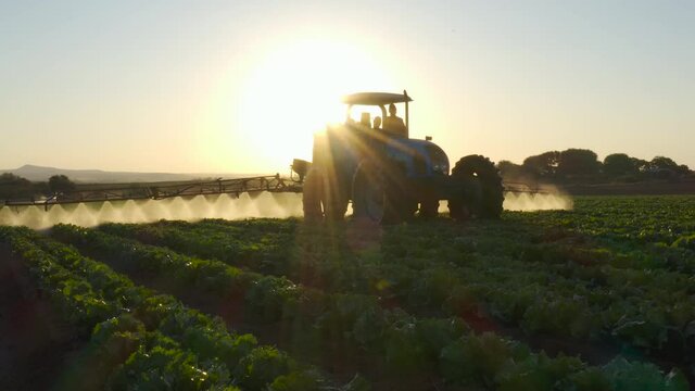 Aerial backlit view of a tractor spraying pesticide onto crops on a large scale vegetable farm at sunset