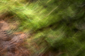 Abstract blurred natural green background.