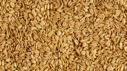 Oat cereal texture background. concept of vegetarian diet eating, dieting, sport and fitness menu