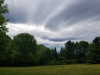 Obraz na płótnie Canvas time clouds over the forest