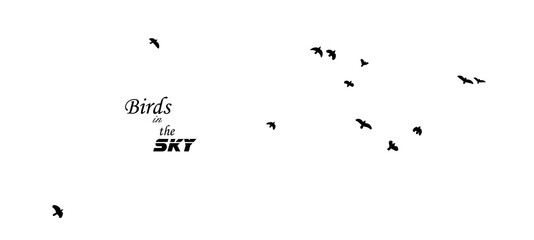 A flock of flying birds. Vector illustration