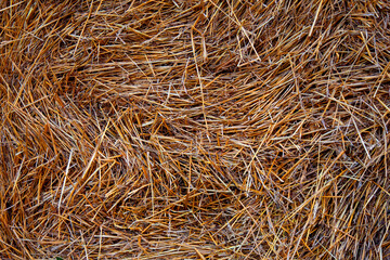 Background image - tamped golden straw
