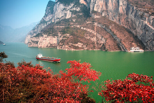 Chongqing wushan three gorges maple leaves