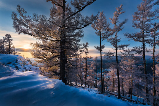 Snow Wolf peak rime