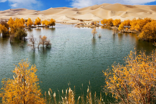 The taklamakan in iminqak Luo Bo lake in xinjiang