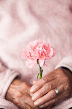 Mother's day flowers