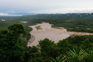 Peruvian amazon rainforest