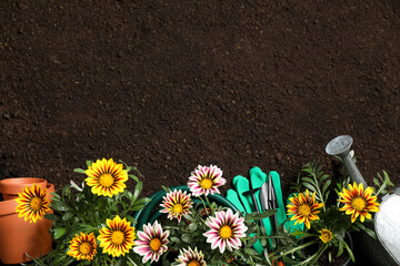 Flat lay composition with gardening equipment and flowers on soil, space for text