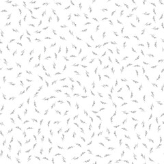 Doodle simple vector seamless pattern of hand-drawn floral elements. Seamless pattern of hand-drawn branches. Big floral botanical set. Isolated on white background.