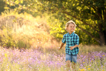 Cute little boy outdoors, space for text. Child spending time in nature