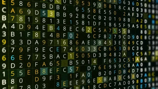 Hacker style random character code background, seamless loop. Animation. Internet security concept, colorful digits and letters changing fast in many parallel rows.
