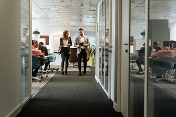 Business partners communicating in hall of office
