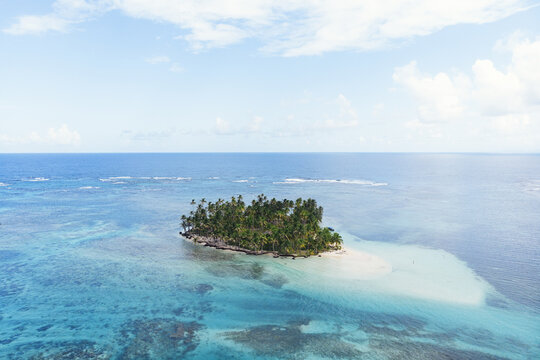 Exotic island with palm trees