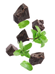 Black chocolate pieces and mint falling on white background