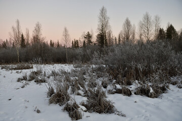 Frozen nature