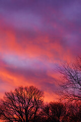 Partially clouded red sky during sunset with tree silhouette  