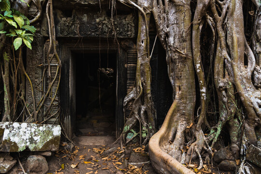 Ta Prohm temple