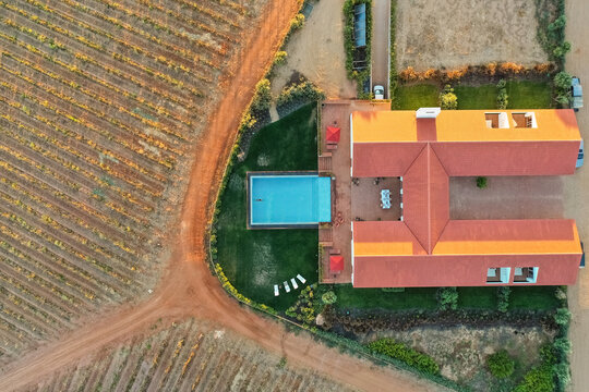 Aerial view of Vineyard estate, Portugal.