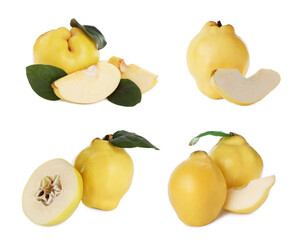 Set of delicious ripe quinces on white background