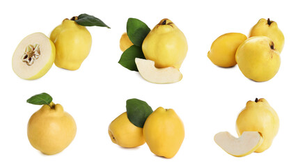 Set of delicious ripe quinces on white background