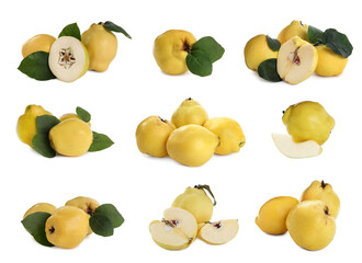 Set of delicious ripe quinces on white background