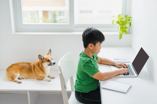 Distance learning online education.