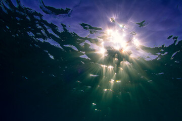 Sea Underwater beams sunlight shining through glossy water surface