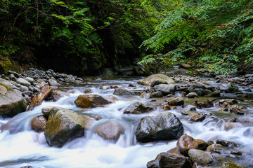 山梨県の西沢渓谷