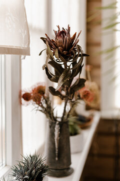 Vase with dry flowers on window sill