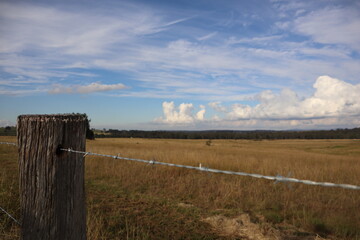 fence in the field