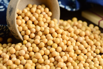 Soybean on the background of retro Chinese style