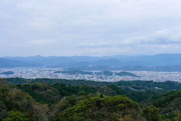 Fototapeta premium 静岡日本平の眺め