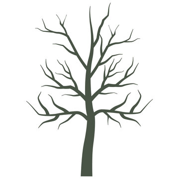 dry tree plant isolated icon