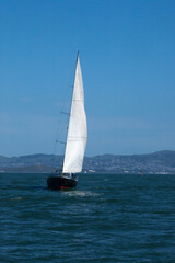 Fototapeta na wymiar Sailboat on San Francisco Bay