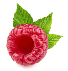 One fresh raspberry with leaves