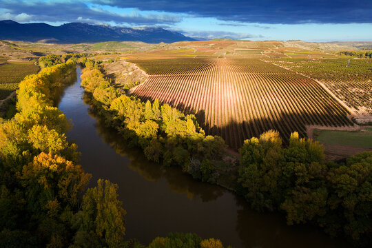 Scenic View Of River By Vineyard During Autumn